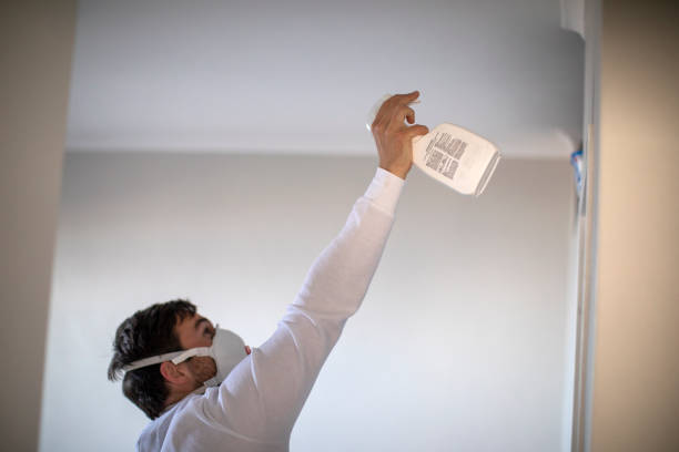 Best Residential Mold Removal  in Thorndale, TX